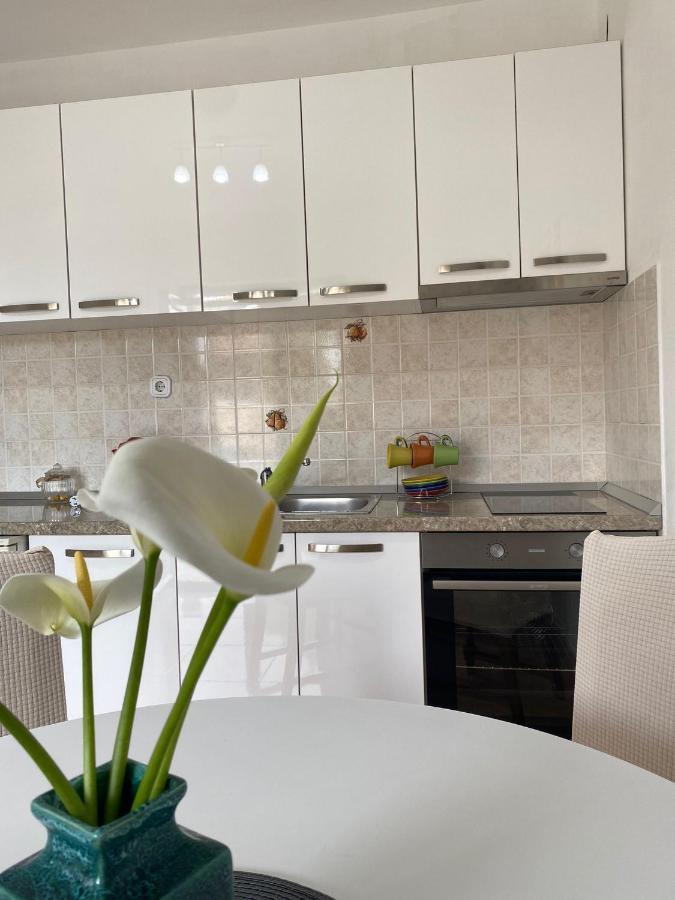 Studio Apartment Novak Čilipi Exteriör bild